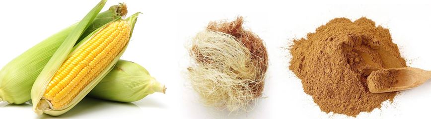 Corn Silk Extract Powder 101