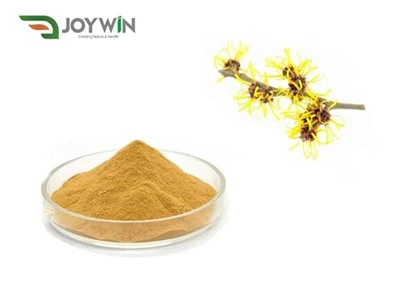 Hamamelis u prahu